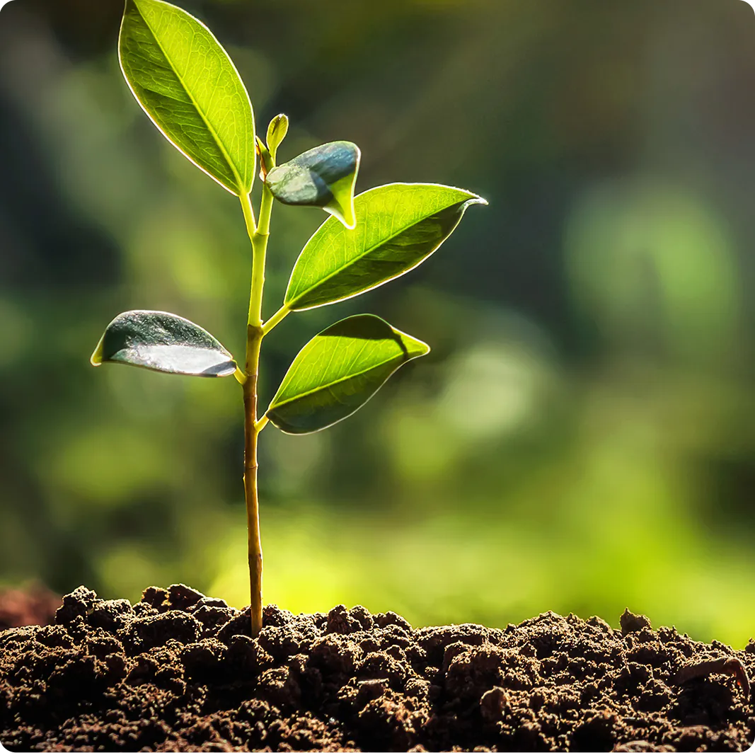 Umweltschutz bei WWL
